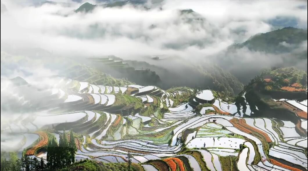 用友回家購客戶案例